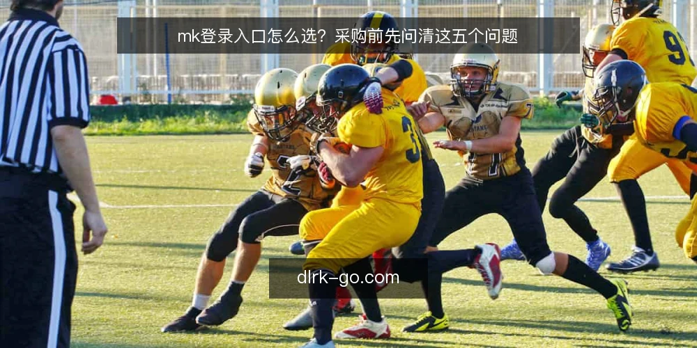 mk登录入口怎么选?采购前先问清这五个问题 — 我们的访问需求到底是什么? 配图