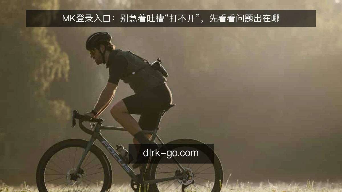 MK登录入口：别急着吐槽“打不开”，先看看问题出在哪